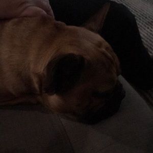 Meet your Posher, Lori